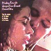 Foto Orquídea Selvagem