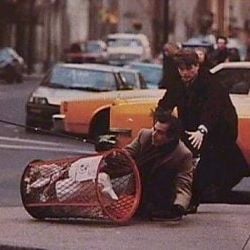 Foto Perfume de Mulher