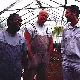 Foto As Rosas São Vermelhas, as Violetas São Azuis