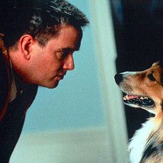 Foto Romance no Parque