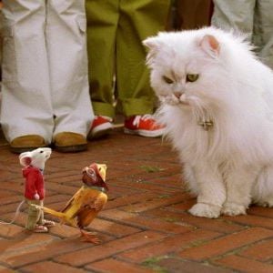 Foto Stuart Little 2