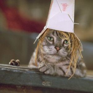 Foto Stuart Little 2