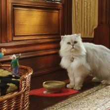 Foto Stuart Little 2