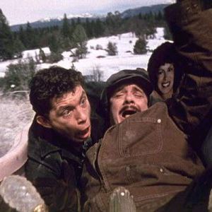 Foto Um Ratinho Encrenqueiro