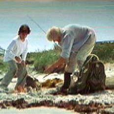 Foto Quando os Anjos Falam