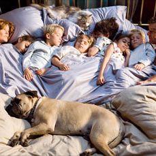 Foto Os Seus, os Meus e os Nossos