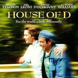 Foto Reflexos da Amizade