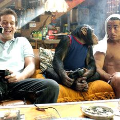 Foto O Queridinho da Vovó