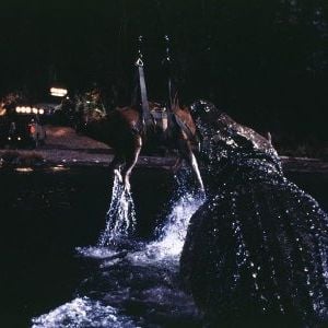 Foto Pânico no Lago