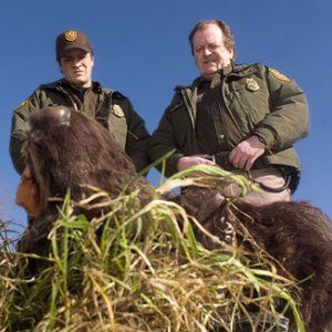 Foto Seres Rastejantes