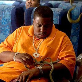 Foto Serpentes a Bordo