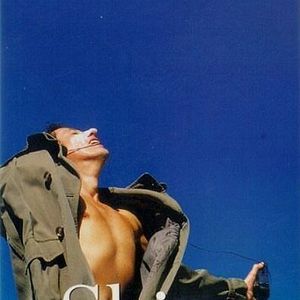 Foto Shine - Brilhante