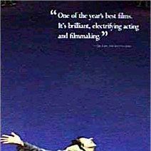 Foto Shine - Brilhante