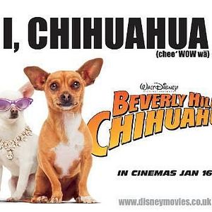 Foto Perdido pra Cachorro