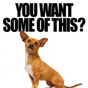 Foto Perdido pra Cachorro