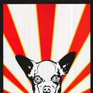 Foto Perdido pra Cachorro