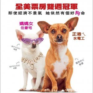 Foto Perdido pra Cachorro