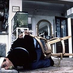 Foto Um Peixe Chamado Wanda