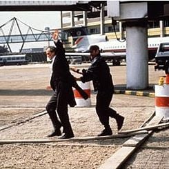 Foto Um Peixe Chamado Wanda