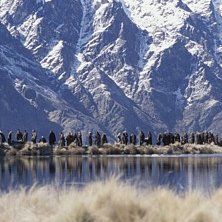 Foto O Senhor dos Anéis - As Duas Torres