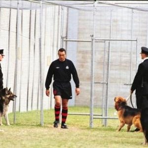 Foto Penalidade Máxima