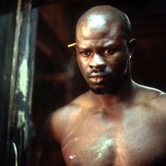 Foto Terra de Sonhos