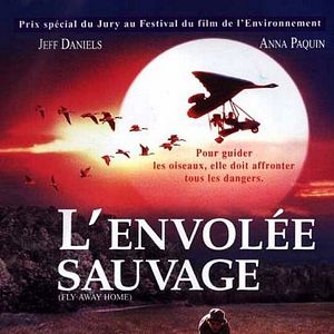 Foto Voando para Casa