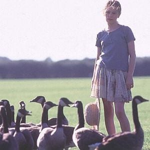 Foto Voando para Casa