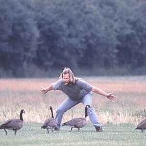 Foto Voando para Casa