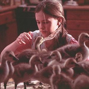 Foto Voando para Casa