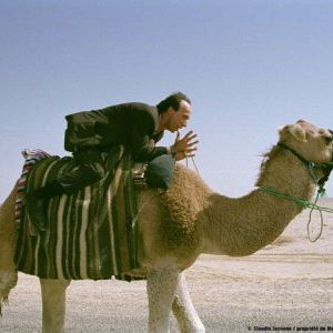 Foto O Tigre e a Neve