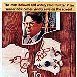 Foto O Sol É Para Todos