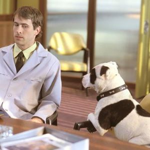 Foto Promessa é Dívida