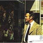 Foto Sonhos do Passado