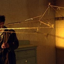 Foto Spider - Desafie Sua Mente