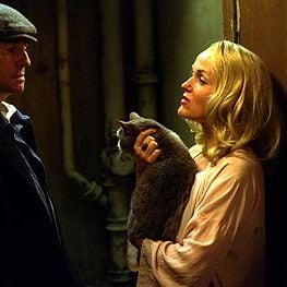 Foto Spider - Desafie Sua Mente