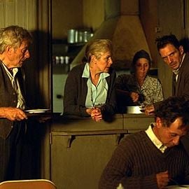 Foto Spider - Desafie Sua Mente