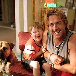 Foto Spot - Um Cão da Pesada