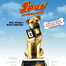 Foto Spot - Um Cão da Pesada