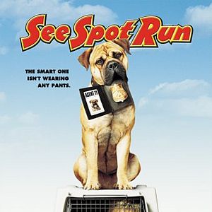 Foto Spot - Um Cão da Pesada