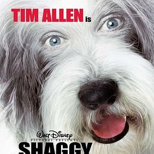 Foto Soltando os Cachorros