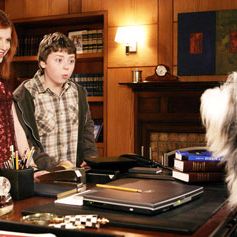 Foto Soltando os Cachorros