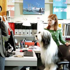 Foto Soltando os Cachorros