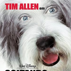 Foto Soltando os Cachorros