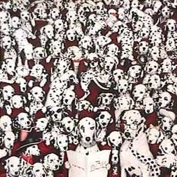 Foto Os 101 Dálmatas