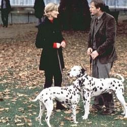 Foto Os 101 Dálmatas