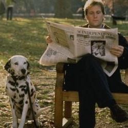 Foto Os 101 Dálmatas