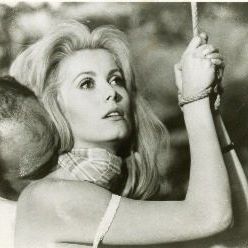 Foto A Bela da Tarde