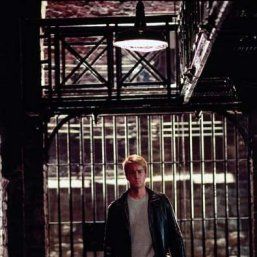 Foto Dragão Vermelho