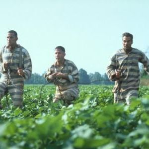 Foto E Aí, Meu Irmão, Cadê Você?